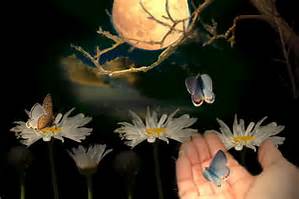 vlinder,hand en maan